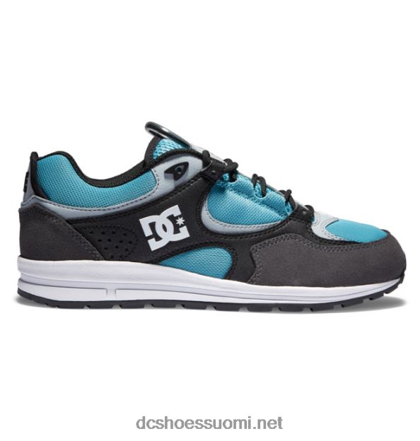 miesten kalis lite luistinkengät musta/harmaa/sininen DC Shoes VXP4HP175