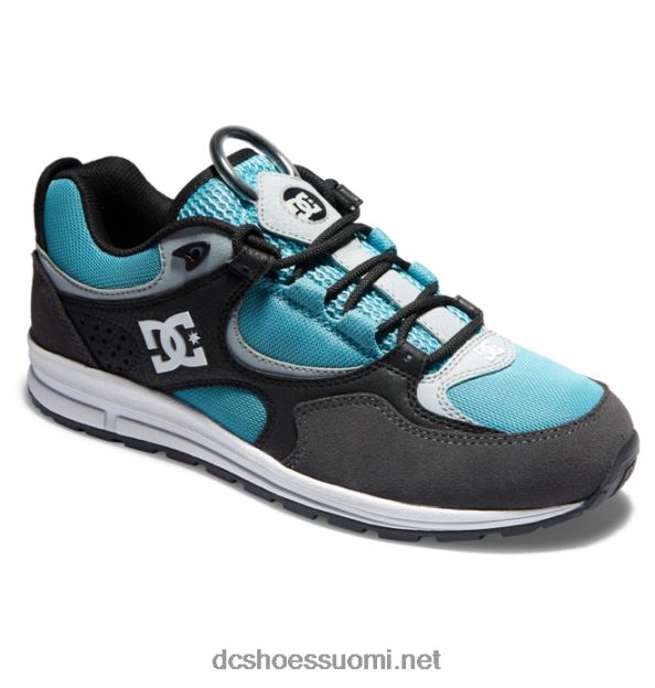 miesten kalis lite luistinkengät musta/harmaa/sininen DC Shoes VXP4HP175
