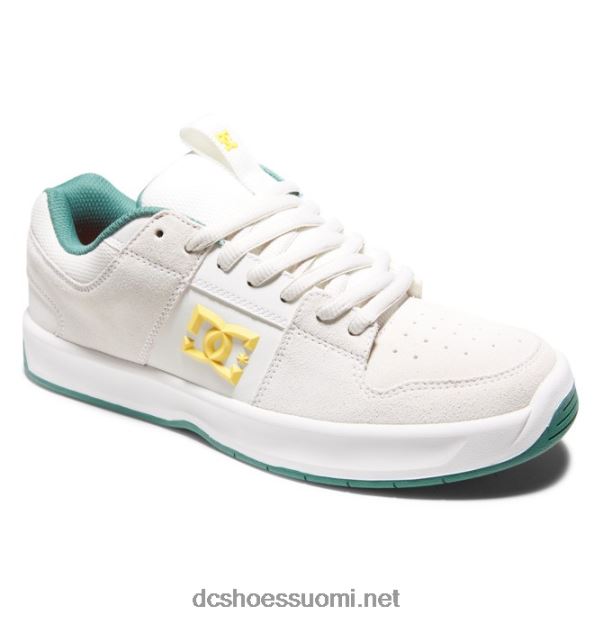 miesten lynx zero skate -kengät vaalean harmaa DC Shoes VXP4HP367