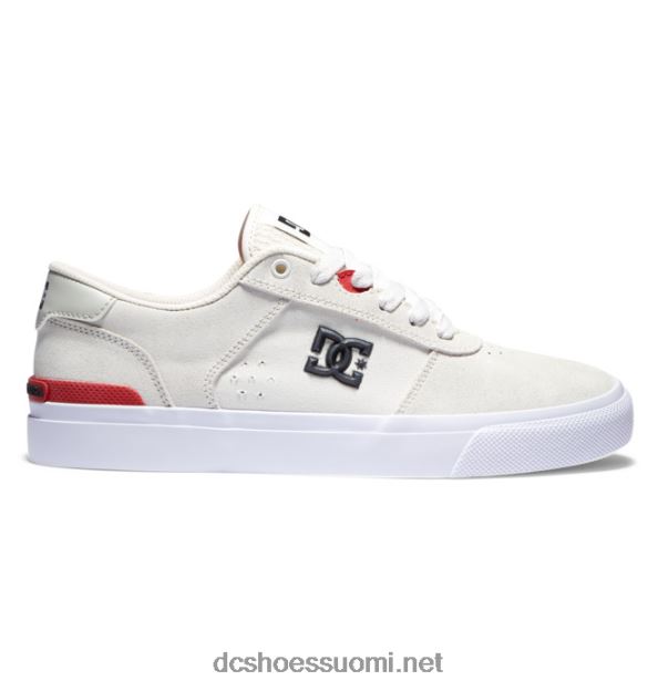 miesten teknic s luistinkengät luonnonvalkoinen DC Shoes VXP4HP29