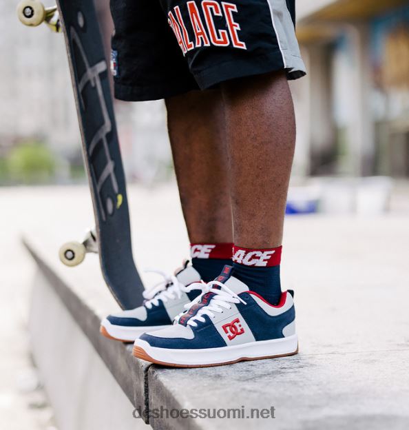 miesten lynx zero skate jahmir ruskeat kengät laivastonsininen/harmaa DC Shoes VXP4HP355