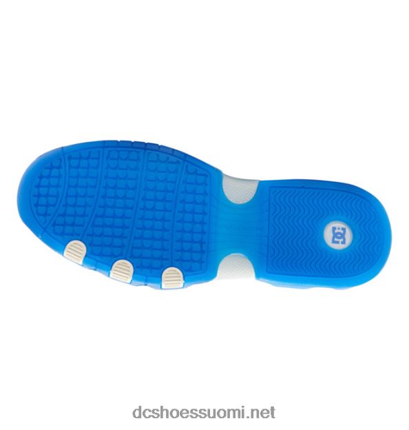 miesten metriset shanahan-kengät harmaa/valkoinen/sininen DC Shoes VXP4HP16