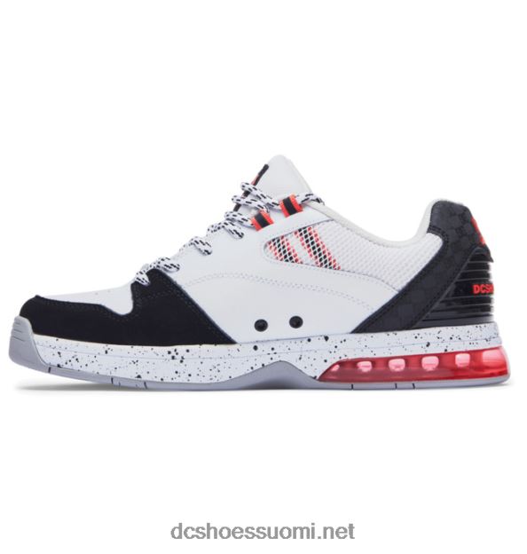 miesten monipuoliset kengät valkoinen/musta/sininen DC Shoes VXP4HP152